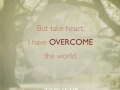 TakeHeart.jpg